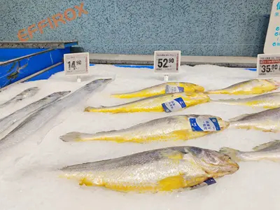 RT-Mart Supermarket Boosts Efficiency with Effirox Electronic Shelf Labels