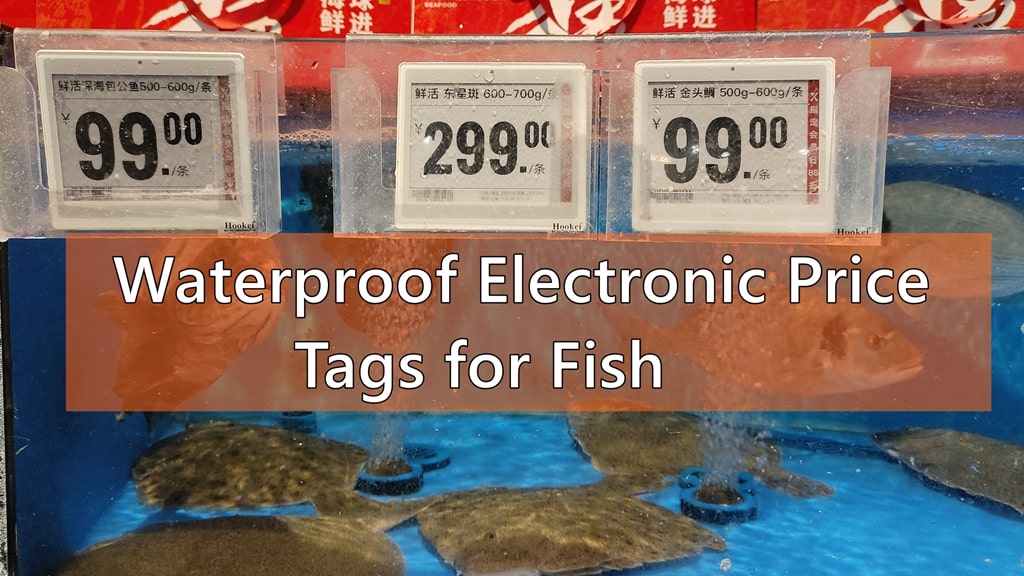 Waterproof Electronic Price Tags for Fish – Effirox 4.2" ESL Demo